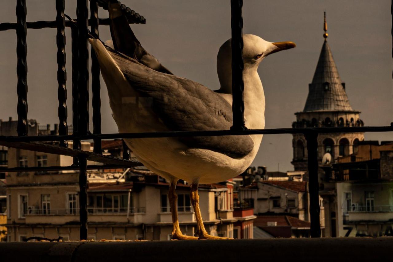 Aparthotel Galata M84 Istanbul Exterior foto